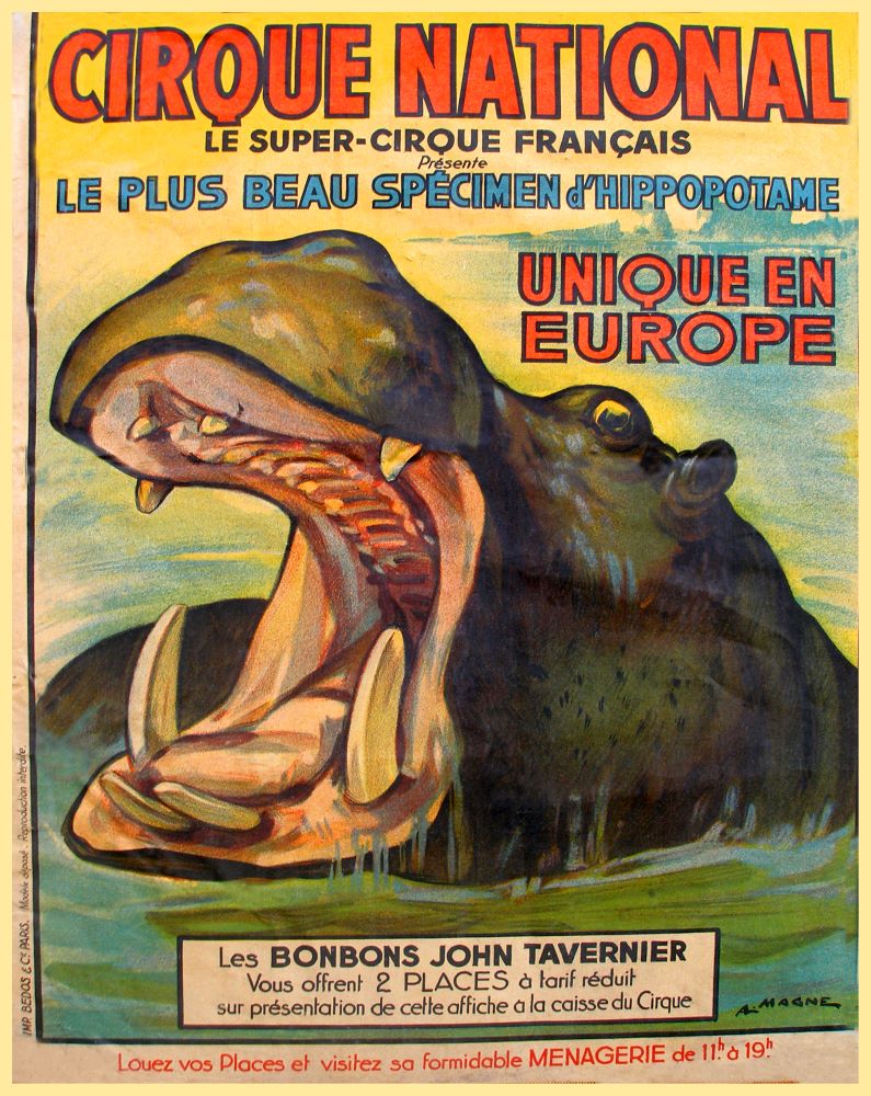 Affiche ancienne à collectionner du Cirque National pour présenter les hippopotames dans l'eau sur un fond dégradé de jaune, vert et bleu.